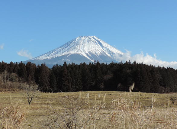 朝霧高原　富士山