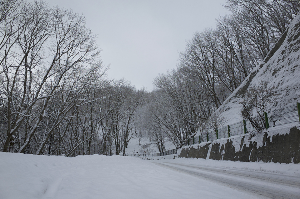 雪で覆われた道路