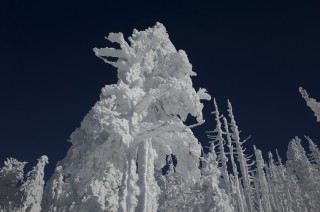 【ピラタス蓼科スノーリゾート】今シーズン初のスキーに行ってきました