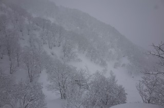 白馬五竜＆Hakuba47にスキー旅行に行ったら猛吹雪だった件